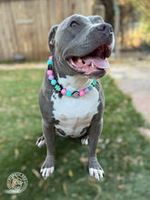 Load image into Gallery viewer, Peace and Love Bead Collar
