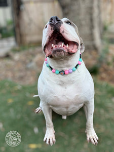 Peace and Love Bead Collar