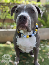 Load image into Gallery viewer, 🏒 Pittsburgh Penguins NHL Inspired Bead Collar