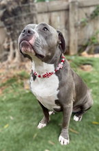 Load image into Gallery viewer, Peppermint Swirl Bead Collar
