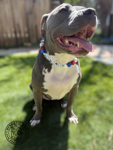 Load image into Gallery viewer, PERSONALIZED 4th of July Glam Bead Collar