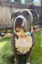 Load image into Gallery viewer, PERSONALIZED Candy Sweetheart Bead Collar