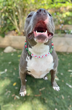 Load image into Gallery viewer, PERSONALIZED Christmas Tree Bead Collar
