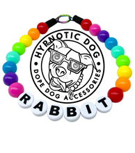 Load image into Gallery viewer, PERSONALIZED Classic Rainbow 🌈 Acrylic + Letters Bead Collar