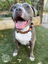 Load image into Gallery viewer, PERSONALIZED Pumpkin Spice Halloween Bead Collar