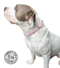 Load image into Gallery viewer, Pink Carnation Bead Collar