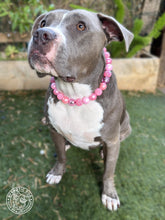 Load image into Gallery viewer, Pink Christmas Lights ✨ Bead Collar