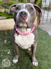 Load image into Gallery viewer, Pink Christmas Lights ✨ Bead Collar