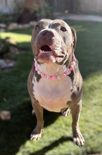 Load image into Gallery viewer, Pink Cupcake Bead Collar