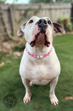 Load image into Gallery viewer, Pink Cupid Bead Collar