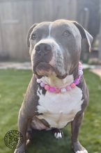 Load image into Gallery viewer, Pink Cupid Bead Collar