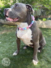 Load image into Gallery viewer, Pink Donut 🍩 Bead Collar