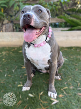 Load image into Gallery viewer, Pink Ghost Glam Bead Collar