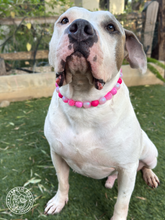 Load image into Gallery viewer, Pink Glitter Supernova Bead Collar