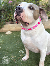 Load image into Gallery viewer, Pink Glitter Supernova Bead Collar