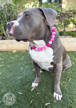Load image into Gallery viewer, Pink Glitter Supernova Bead Collar