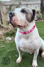 Load image into Gallery viewer, Pink Hearts Glitz Bead Collar