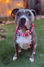 Load image into Gallery viewer, Pink Hearts Glitz Bead Collar