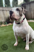 Load image into Gallery viewer, Pink Leopard Heart Bead Collar