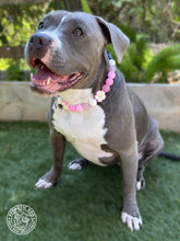 Load image into Gallery viewer, Pink Luau 🌺 Bead Collar