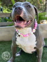 Load image into Gallery viewer, Pink Luau 🌺 Bead Collar