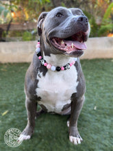 Load image into Gallery viewer, Pink Panda 🐼 Bead Collar