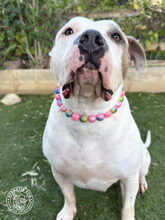 Load image into Gallery viewer, Bubblegum Pink Glitter Prism Bead Collar