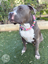 Load image into Gallery viewer, Bubblegum Pink Glitter Prism Bead Collar