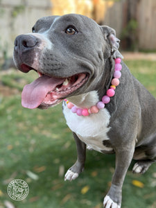Pink Sorbet Bead Collar