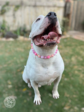 Load image into Gallery viewer, Pink Sorbet Bead Collar