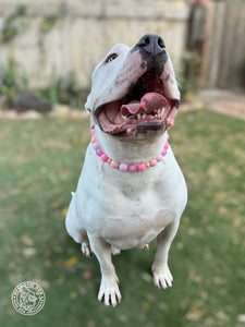 Pink Sorbet Bead Collar
