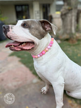 Load image into Gallery viewer, Pink Sorbet Bead Collar