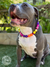 Load image into Gallery viewer, Sunset Sparkles Glam Bead Collar