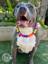 Load image into Gallery viewer, Sunset Sparkles Glam Bead Collar