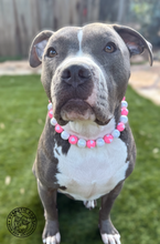 Load image into Gallery viewer, Pink Valentine's Heart Bead Collar