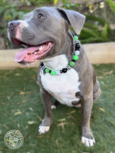 Load image into Gallery viewer, Poison Apple Bead Collar