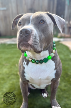 Load image into Gallery viewer, Pot of Gold 🍀 Bead Collar