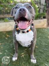 Load image into Gallery viewer, Pumpkin Spice Halloween Bead Collar