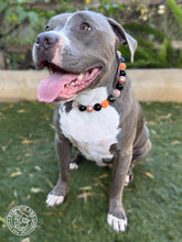 Load image into Gallery viewer, Pumpkin Spice Halloween Bead Collar