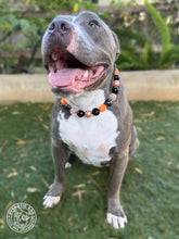 Load image into Gallery viewer, Pumpkin Spice Halloween Bead Collar