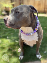 Load image into Gallery viewer, Purple Daisies Glam 🌼 Silicone Bead Collar