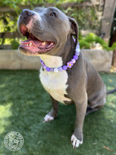 Load image into Gallery viewer, Purple Daisies Glam 🌼 Silicone Bead Collar