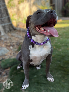 Purple Glitter Skull Bead Collar