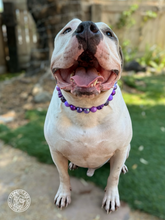 Load image into Gallery viewer, Purple Glitter Skull Bead Collar