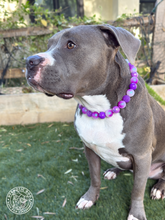 Load image into Gallery viewer, Purple Glitter Supernova Bead Collar