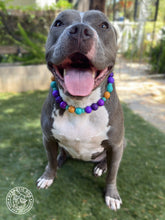 Load image into Gallery viewer, Purple Groove Bead Collar