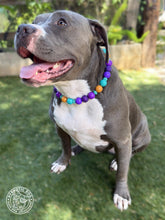 Load image into Gallery viewer, Purple Groove Bead Collar