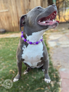 Purple Haze Bead Collar