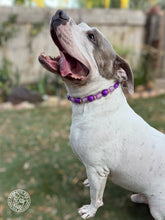Load image into Gallery viewer, Purple Haze Bead Collar