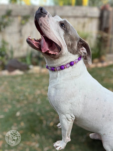 Purple Haze Bead Collar